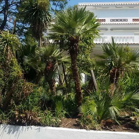 The Gatsby Mansion Villa *